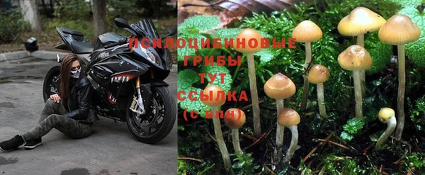 мяу мяу кристалл Надым