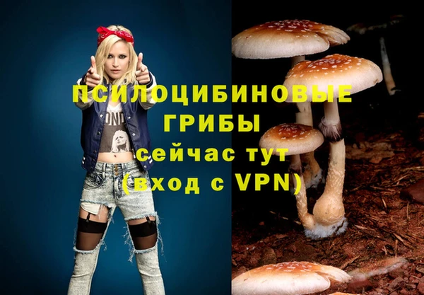 мяу мяу кристалл Надым