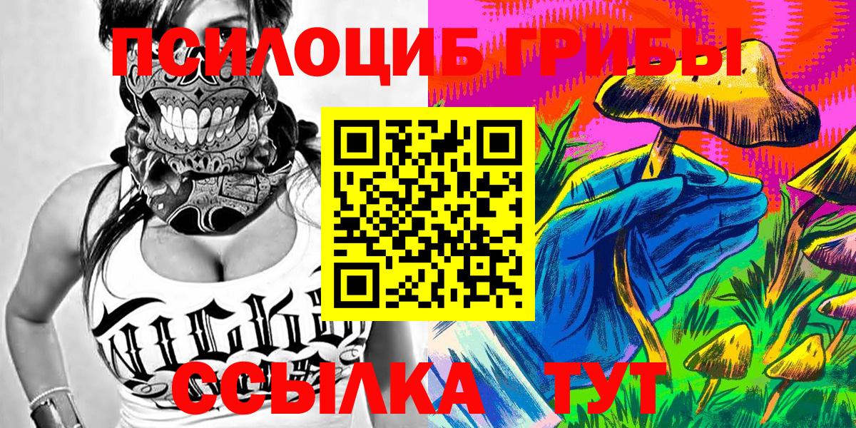 Галлюциногенные грибы Psilocybe Тольятти